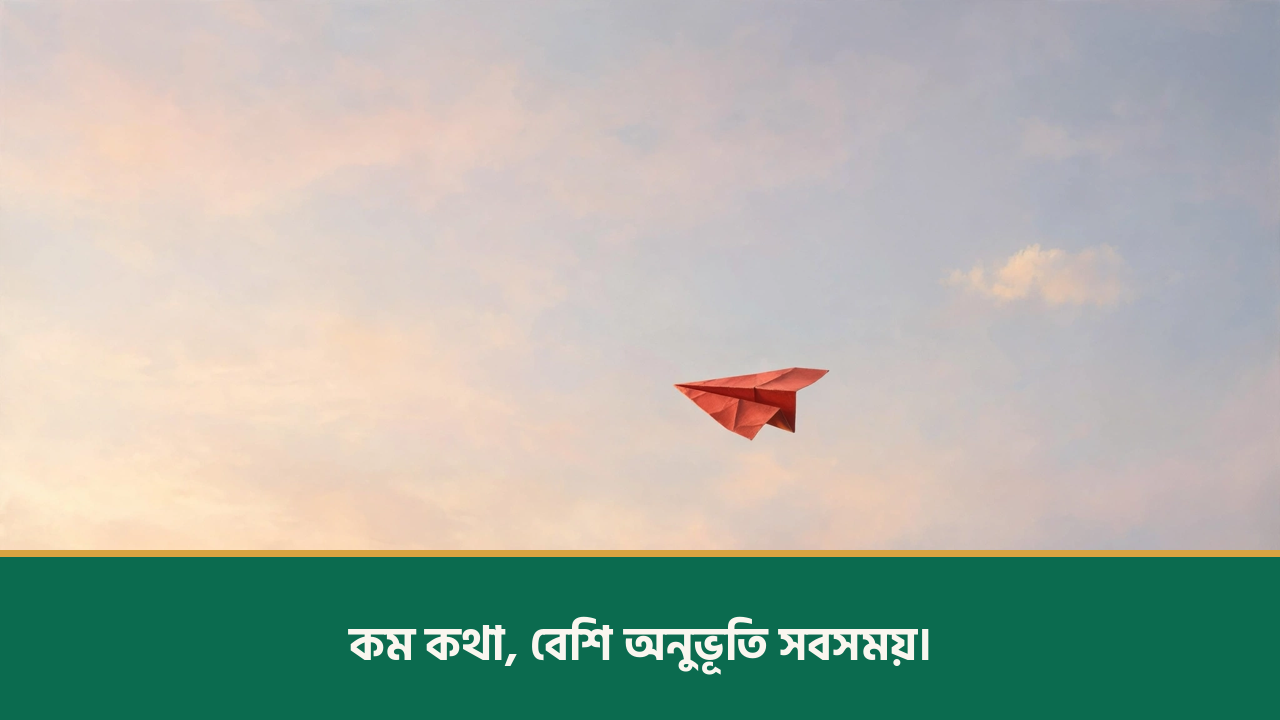 আকাশে উড়ন্ত লাল কাগজের প্লেন - ইউনিক ক্যাপশন বাংলা ছবি